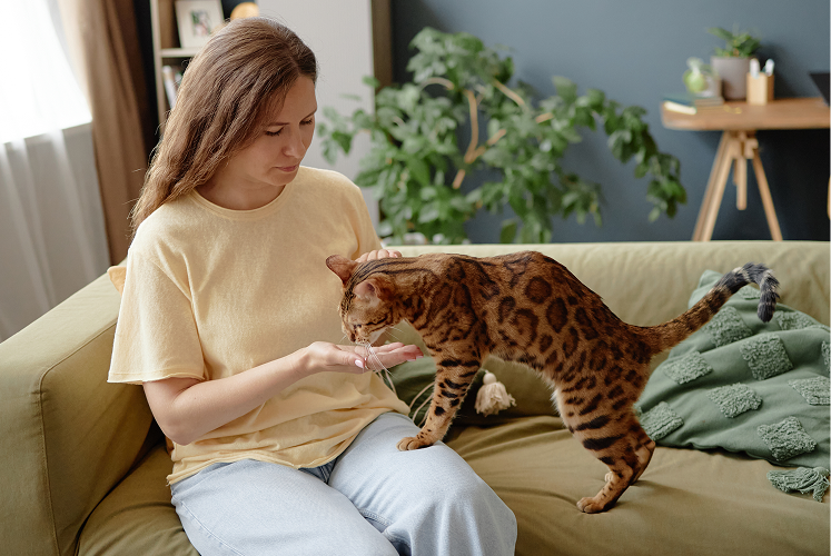 Pet relaxing with a trusted friend